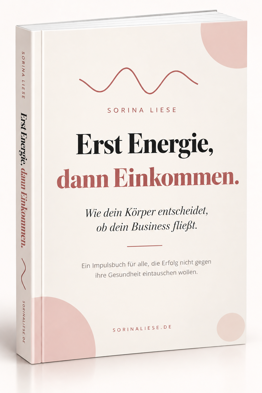 Erst Energie, dann Einkommen — Buchcover